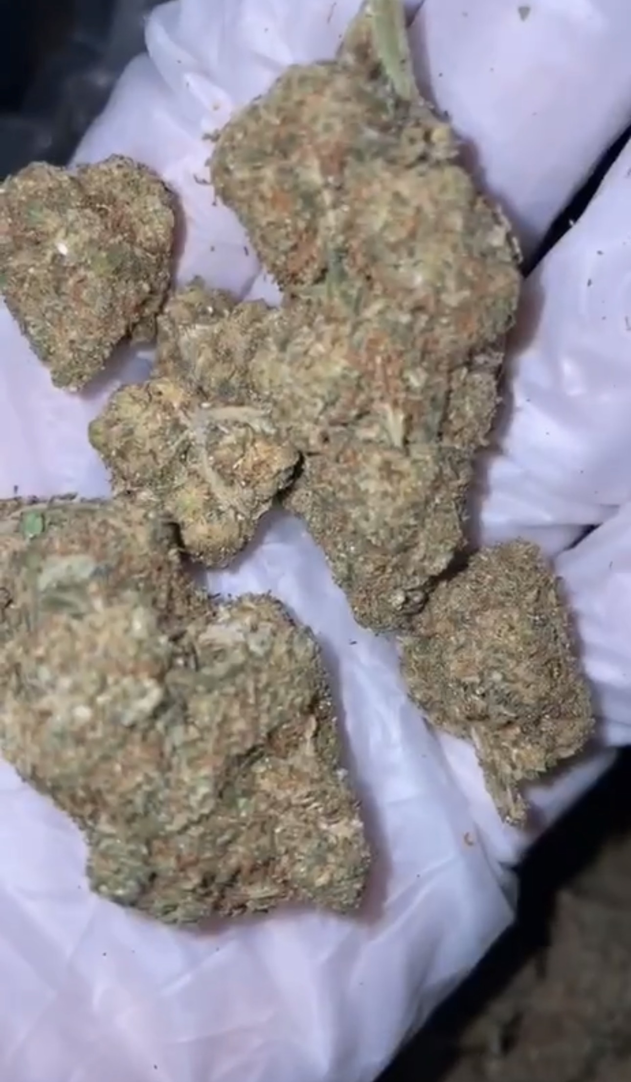 🔘COOKIES 🍪✅