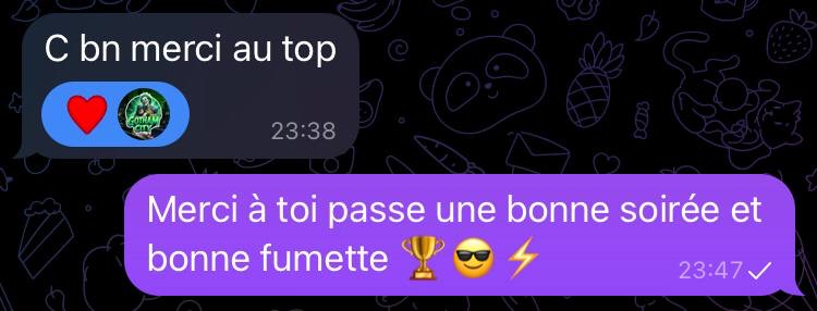 Avis