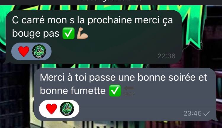 Avis