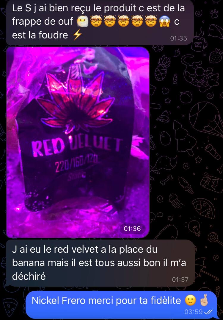 Avis