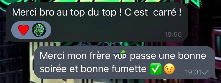 Avis