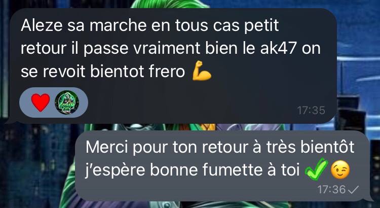 Avis