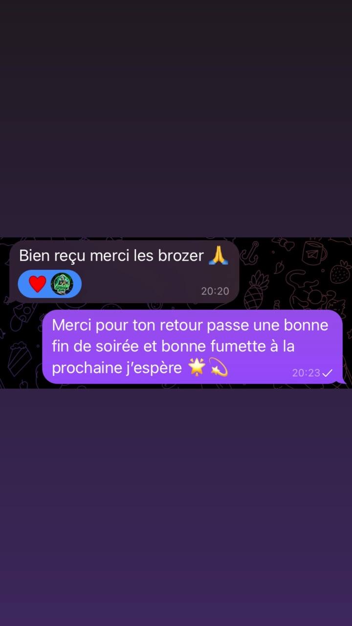 Avis