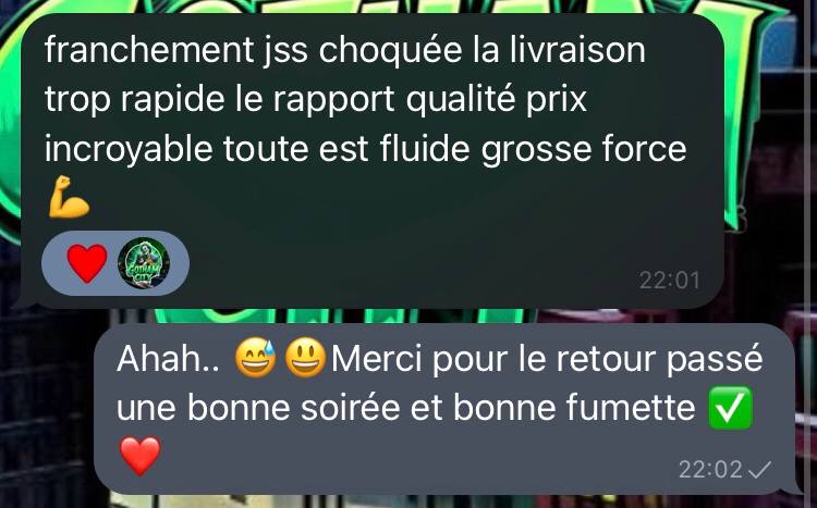 Avis