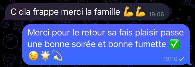 Avis